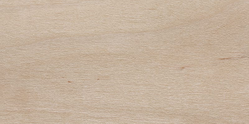 Alder - a guitar tonewood
