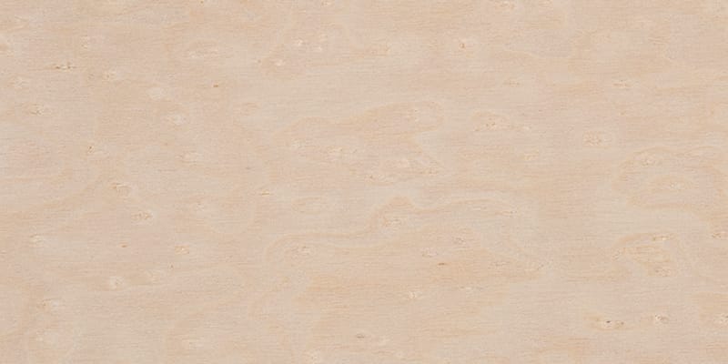 Maple grain closeup, used as a guitar tonewood